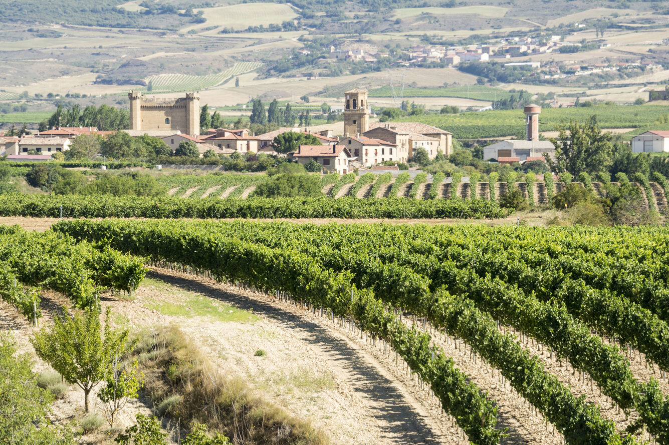 Weinberge Weinberge